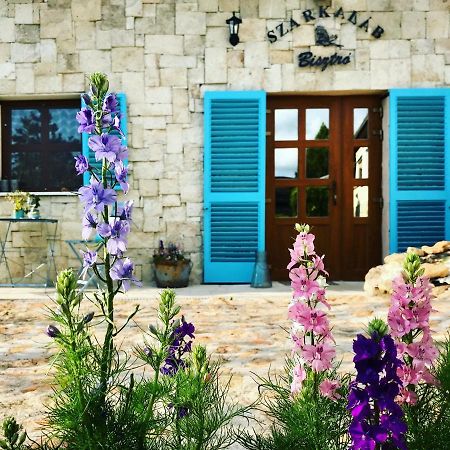 Apartament Szarka Vendeghaz Es Pince Mád Zewnętrze zdjęcie